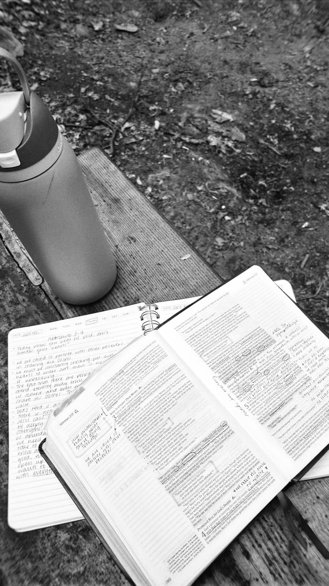 Featured image for “How I Prioritize Quiet Time in the Midst of a Busy Life”